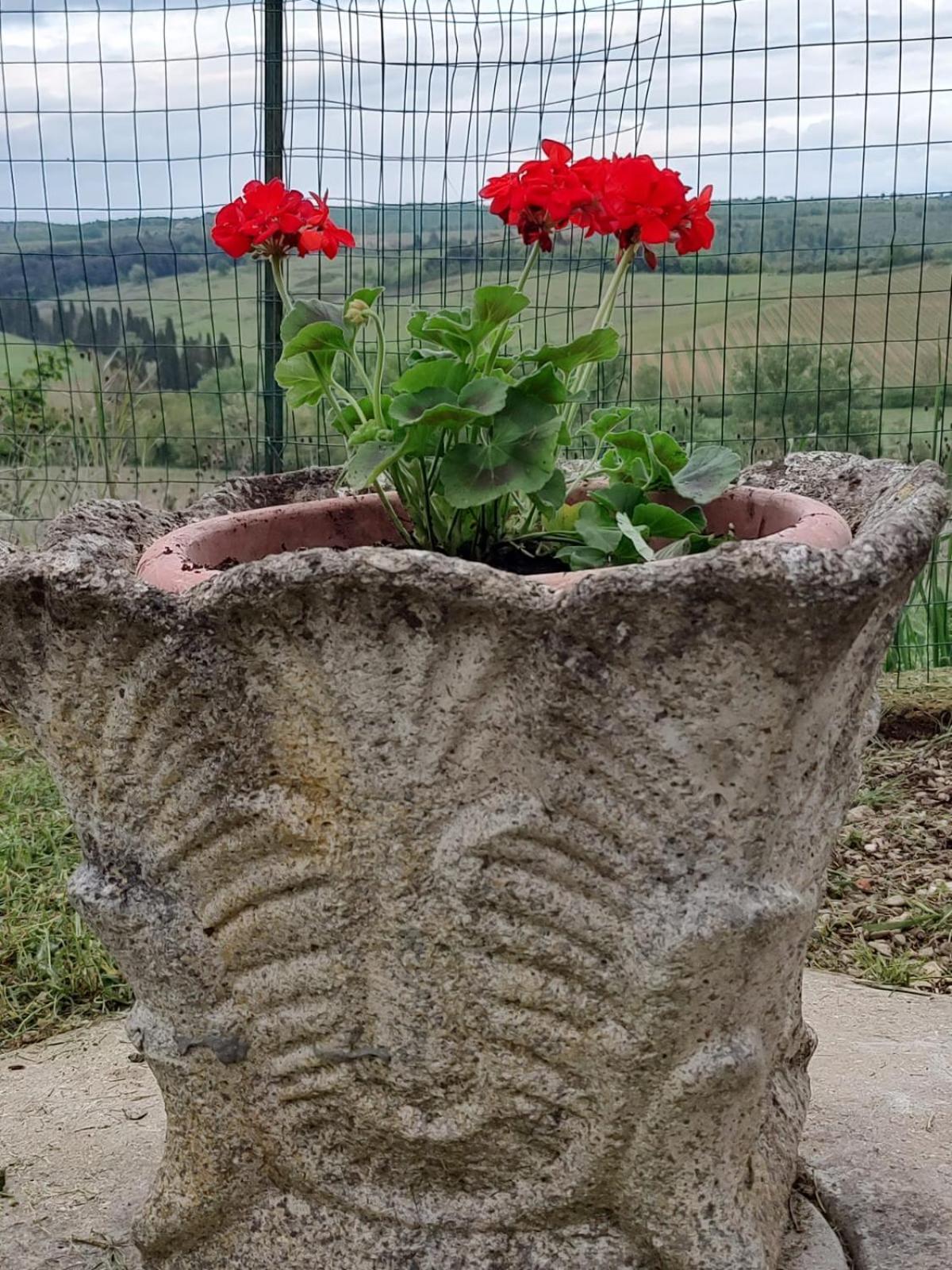Il Giardino Del Chianti Apartment Siena Exterior photo